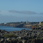 DSC00676-w740_h495